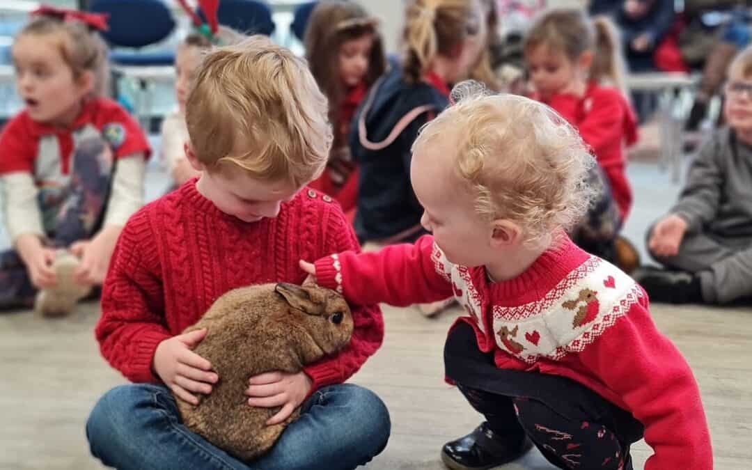 Pet Encounters | 14 December 2024